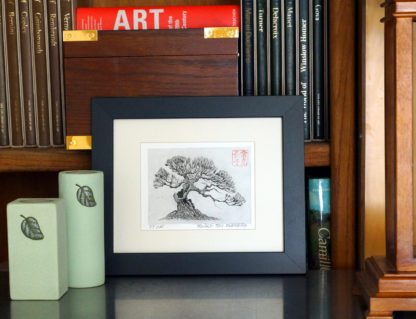 Japanese Pine - Image 2