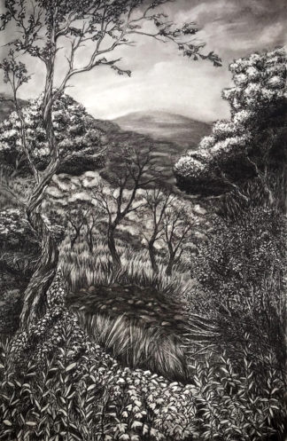 Santiago Oak Park - Charcoal