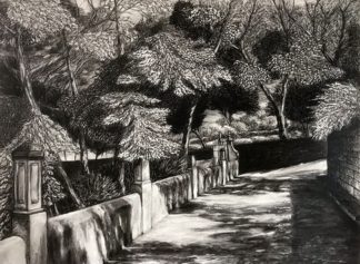 Park Path - Charcoal