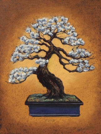 Flowering Plum Bonsai - Pastel