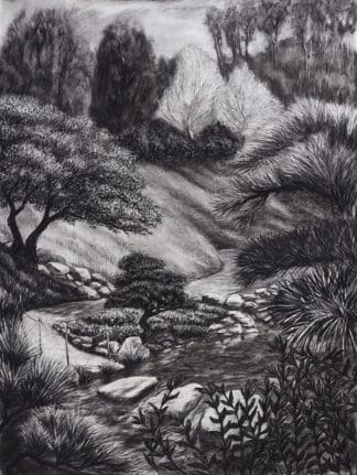 Gathering Path Japanese Friendship Garden - Charcoal