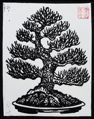 Euro Beech – Bonsai Woodblock Print of Strength, Balance, and Tradition