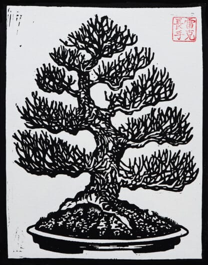 Euro Beech – Bonsai Woodblock Print of Strength, Balance, and Tradition