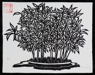 Hime Moso Bamboo – Bonsai Woodblock Print of Harmony and Rhythm